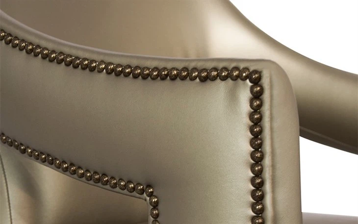 Black Velvet Chairs With Lion Knocker